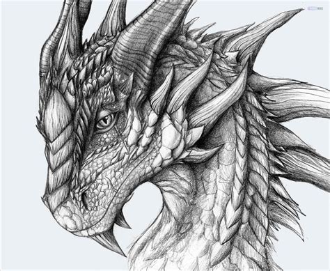 art drawing dragons